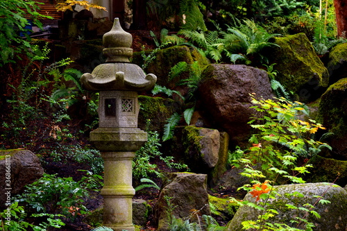 Japanese garden beauty