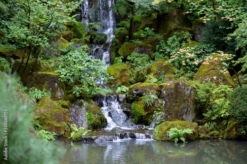 Japanese Garden koi pond