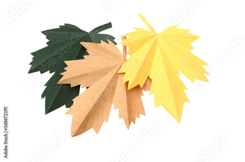 set of colorful maple origami leaves