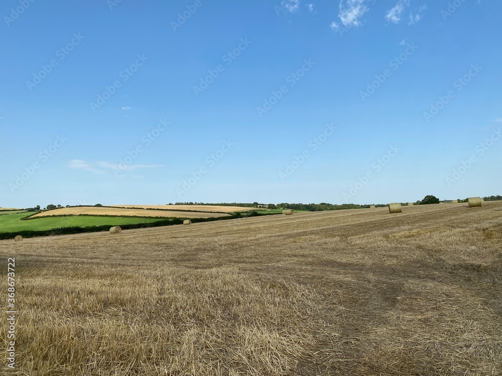 Cornfields, stretching to the horizon, with bales of hay, and a vivid blue sky in, Alwoodley, Leeds, UK