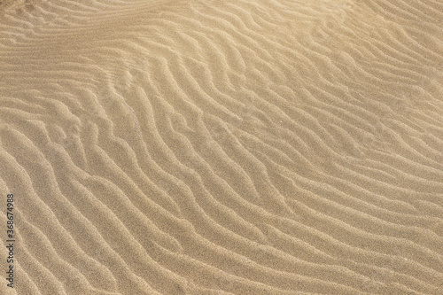 sand dunes texture background © TrokoWork
