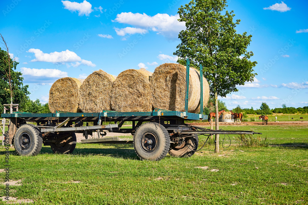 Obraz premium An old trailer with bales of straw standing in a meadow.