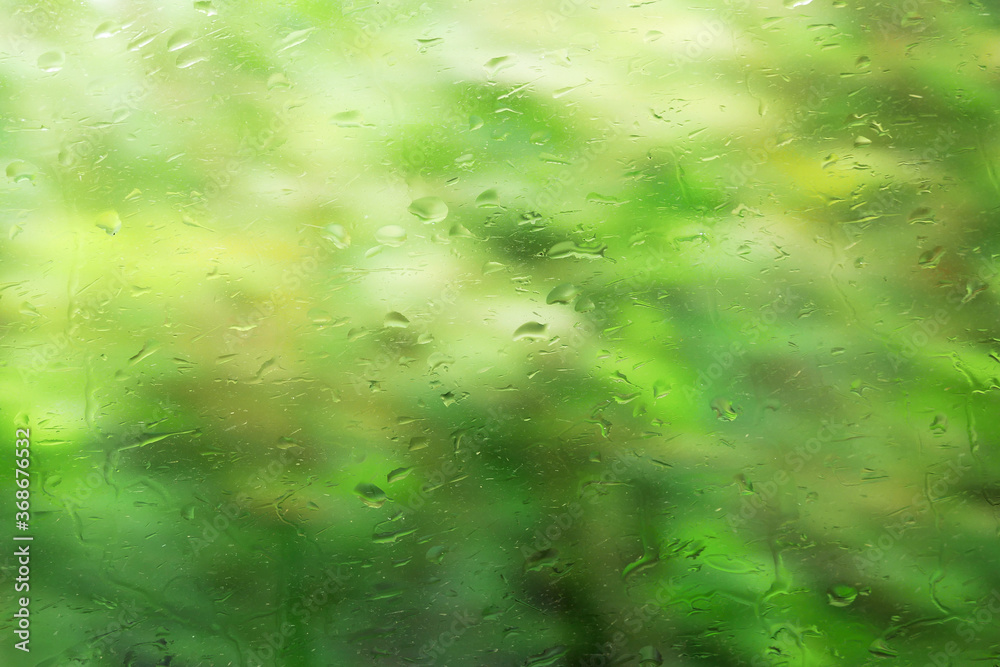 雨の水滴が付いた窓ガラスと林の風景 雨の水滴が付いた窓ガラスと林の風景