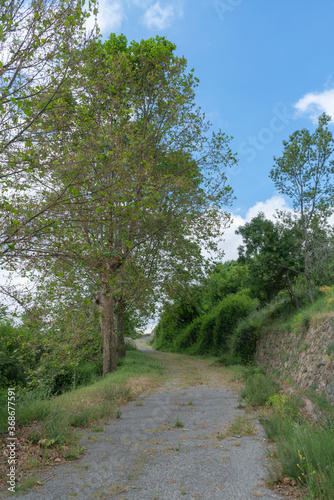 Old road surrounded by vegetation © Javier