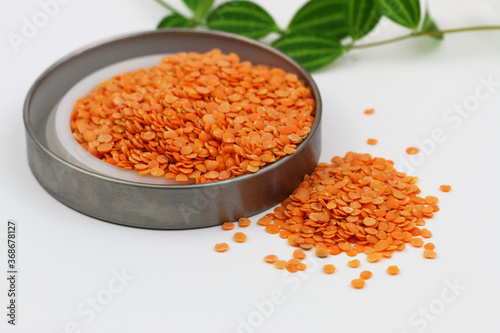 Uncooked red lentils in aluminium dish on white surface 