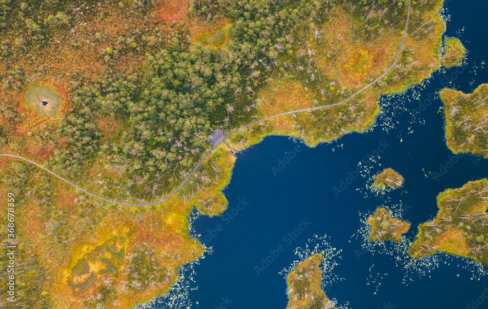 Aerial view over swamp covered in pounds. Colorful earthly texture at preserved territory with lake and isles. Aerial view over swamp covered in pounds. Colorful earthly texture at preserved territory with lake and isles.