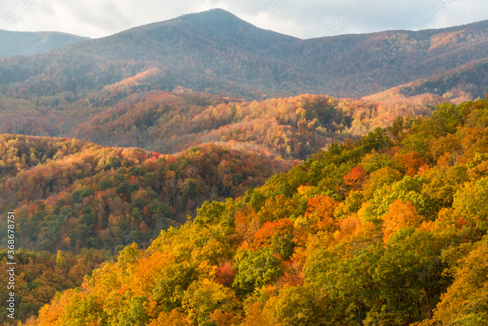 Fall Color Across The Great Smoky Mountains National Park, Tennessee, USA