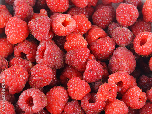 fresh red raspberry as food background