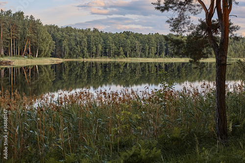 sunset on lake at forest countryside 