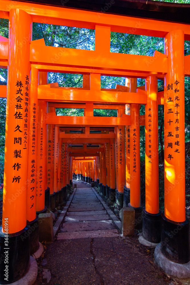 Red toriis in Fushimi near Kyoto (Japan) Red toriis in Fushimi near Kyoto (Japan)