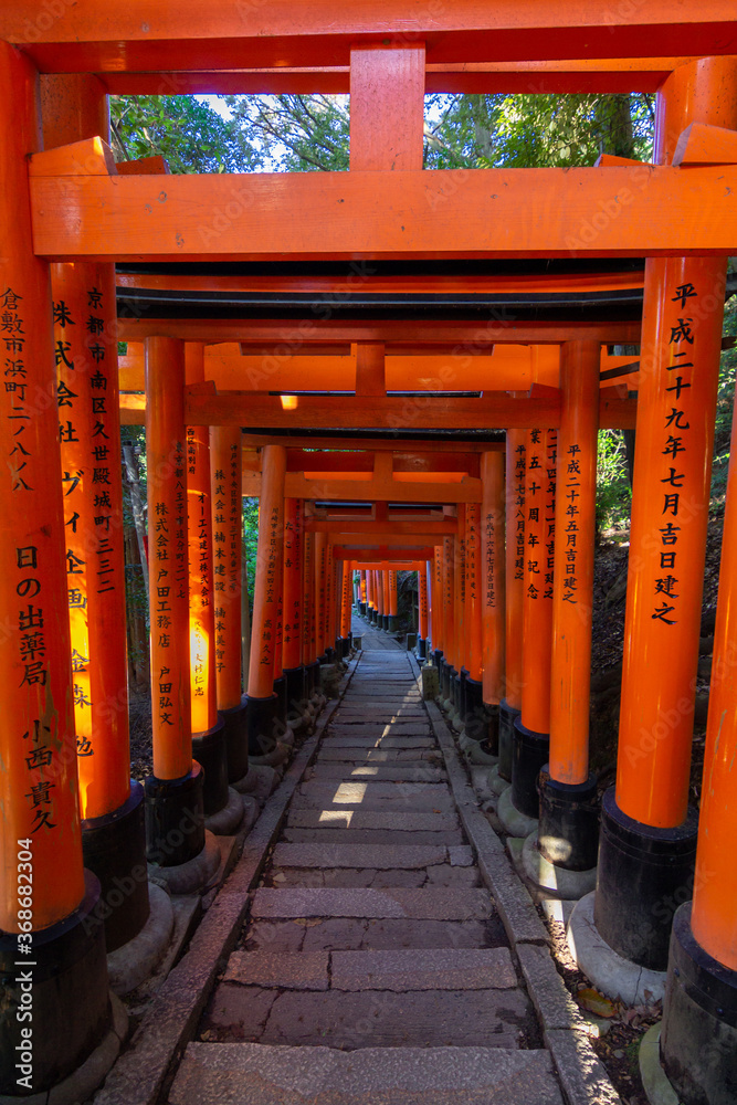 Red toriis in Fushimi near Kyoto (Japan) Red toriis in Fushimi near Kyoto (Japan)
