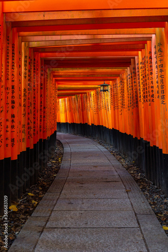 Red toriis in Fushimi near Kyoto (Japan)