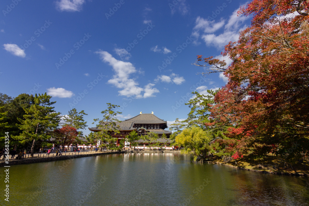 Gardens of Nara near Kyoto (Japan)