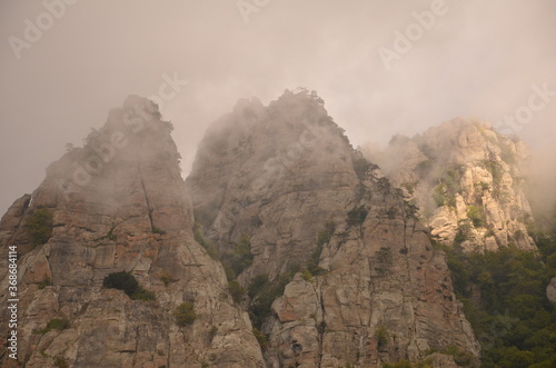 mystical fog on the tree-covered Mount Demerdzhi