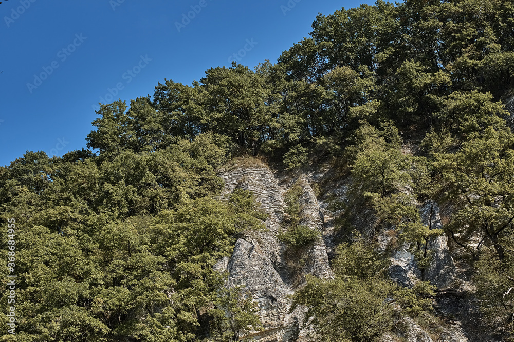 cliffs covered with forest