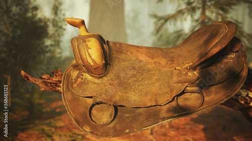 vintage Leather horse saddle on the dead tree in forest at sunset photo