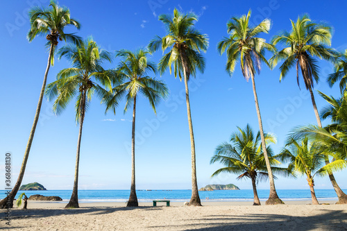 Empty tropical beach with palm trees in the morning in the Manuel Antonio National Park  Costa Rica