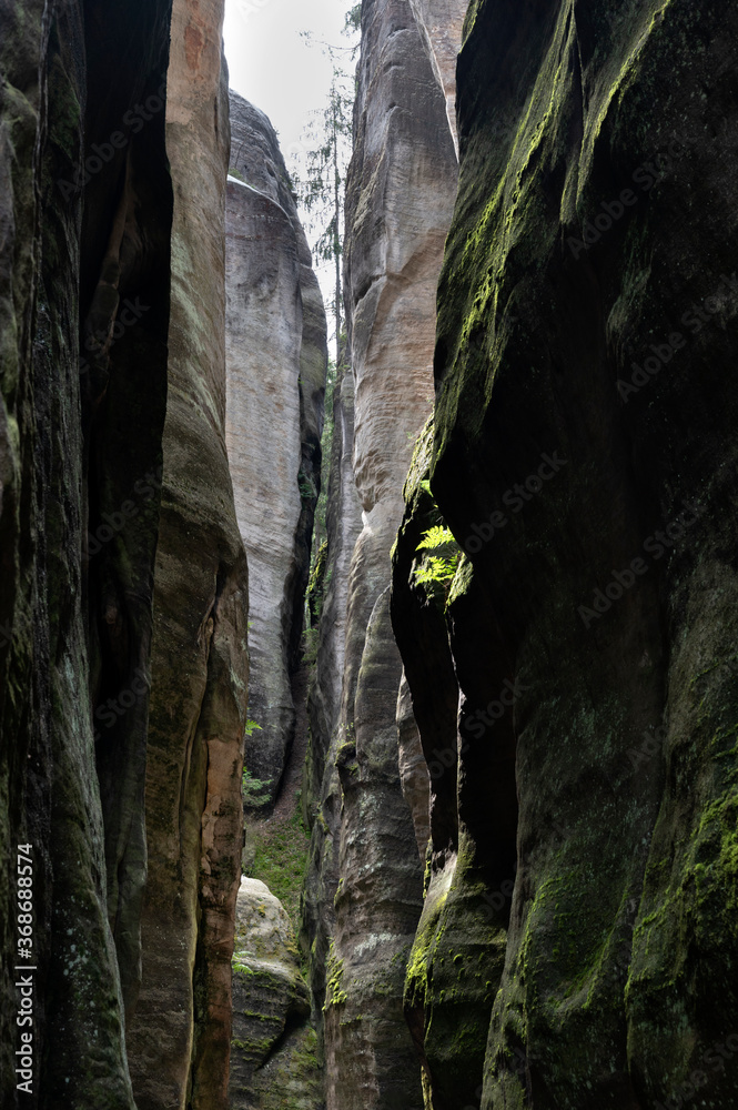 Sandstone rocks in Adrspach, Czech Republic Sandstone rocks in Adrspach, Czech Republic