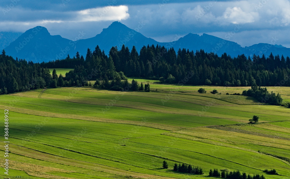 The view of Tatras from Majerz pasture. Pieniny National Park. Czorsztyn. Poland