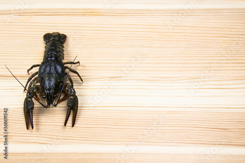 A fresh crayfish or lobster from the river on a wood background.