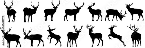Fotobehang Set of deer silhouette, flat vector illustration