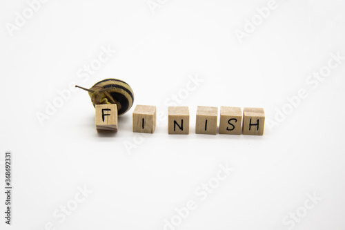 Striped land snail with small wooden cubes with letters isolated on the white background. A word FINISH with grove snail. photo