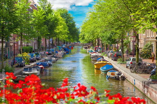 Canvas Print Canal in Amsterdam