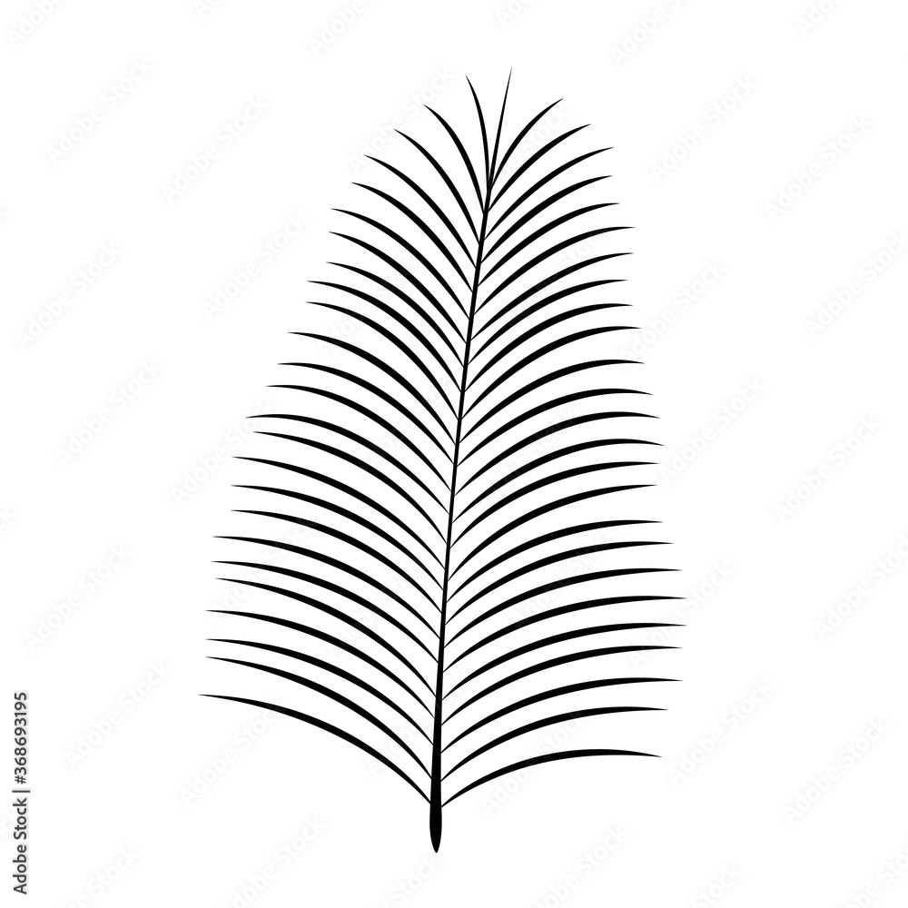 black silhouette date palm leaf. vector icon