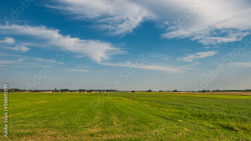 Summer landscape a panorama with a field and the blue sky.