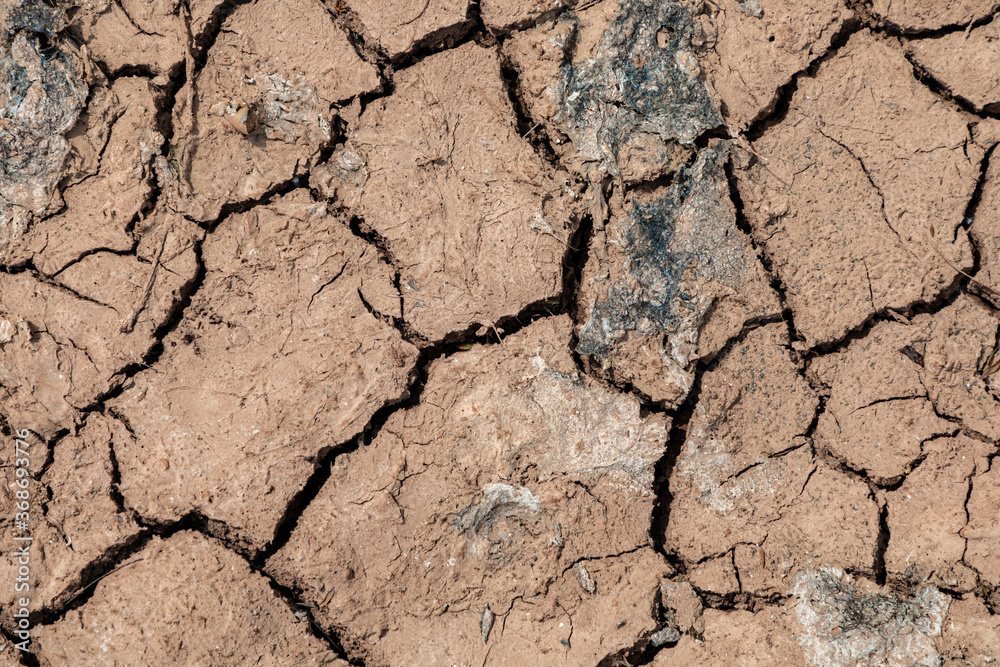 Fototapeta premium dry and cracked soil crust