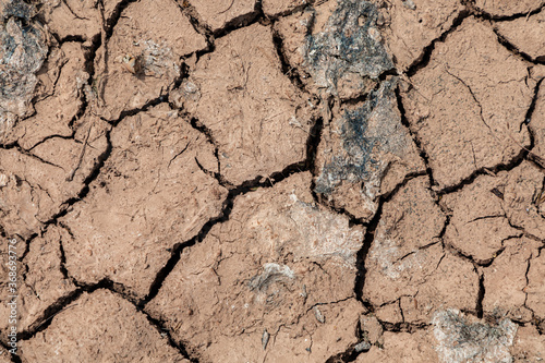 dry and cracked soil crust