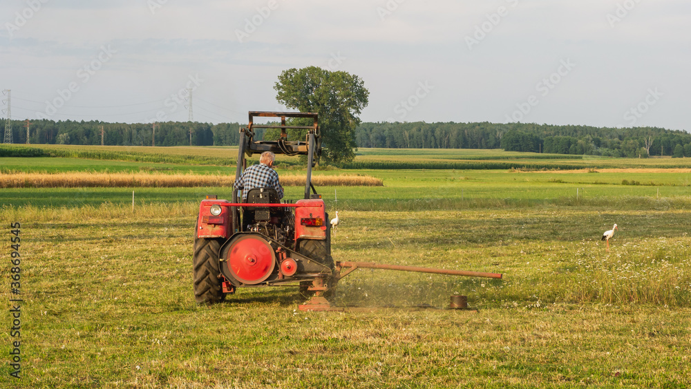 Obraz premium Tractor in the field is cutting the grass. In the background a stork.