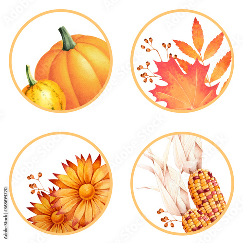 Fototapeta Naklejka Na Ścianę i Meble -  Autumn round labels with colorful indian corns, leaves, pumpkins and chrysanthemum. Seasonal watercolor illustration.