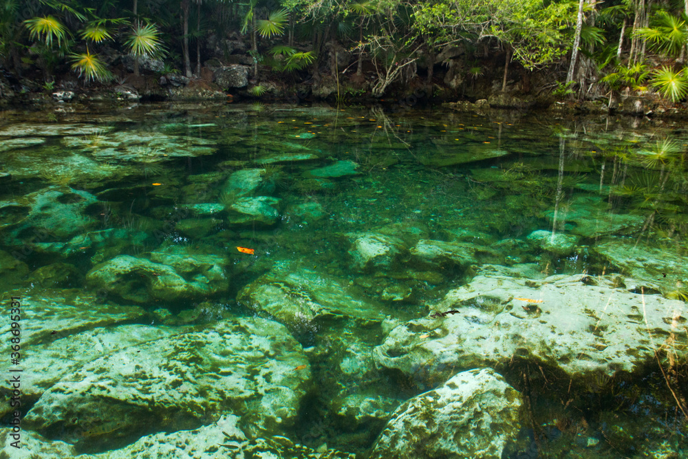Tropical paradise. View of the emerald color water cenote in the jungle. The transparent water and rocks in the natural pond bed surrounded by rainforest vegetation. Tropical paradise. View of the emerald color water cenote in the jungle. The transparent water and rocks in the natural pond bed surrounded by rainforest vegetation.