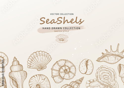 Vector marine design with horizontal frame border of various mollusk, seashells different forms. 