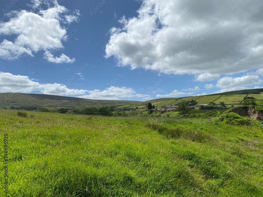 Fototapeta premium High on the hills, above Wycoller, with grass, wild plants, farm buildings and distant moors near, Wycoller, Colne, UK