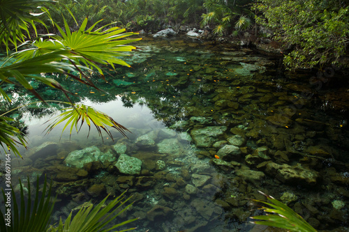 Enchanting landscape. View of the tropical palm trees leaves and the emerald color water cenote in the jungle. The transparent clear water natural pond with a rocky bed.