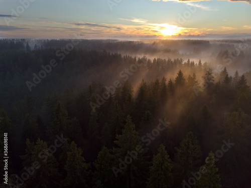 Beautiful sunset over the forest with white fog