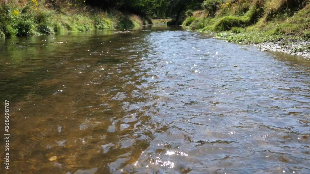 Shallow calm gentle stream going upriver on a beautiful sunny day in the forest. Shallow calm gentle stream going upriver on a beautiful sunny day in the forest.