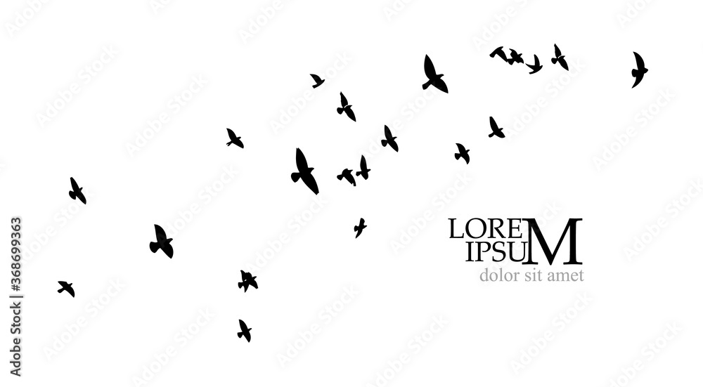 A flock of flying birds. Vector illustration A flock of flying birds. Vector illustration