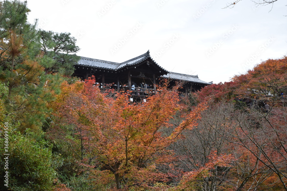 Naklejka premium Tofukuji-temple