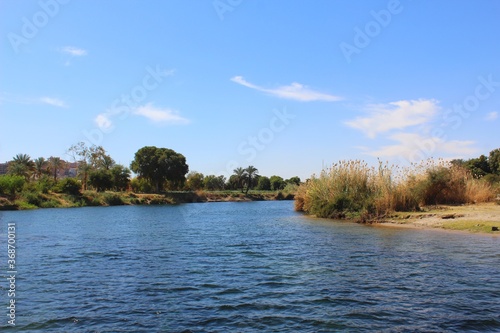 Calm Nile water with grass on river coast and blue sky in Egypt