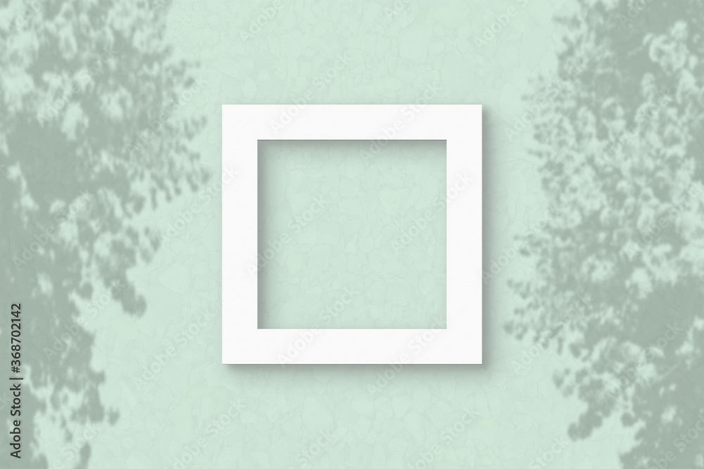 The square sheet of white textured paper on the light green wall background. Mockup with an overlay of plant shadows. Natural light casts shadows from the leaves of an exotic plant. Flat lay, top view The square sheet of white textured paper on the light green wall background. Mockup with an overlay of plant shadows. Natural light casts shadows from the leaves of an exotic plant. Flat lay, top view