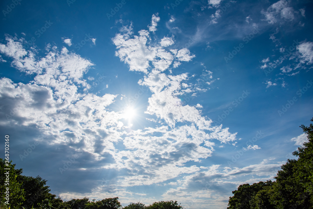 Fototapeta premium 青空