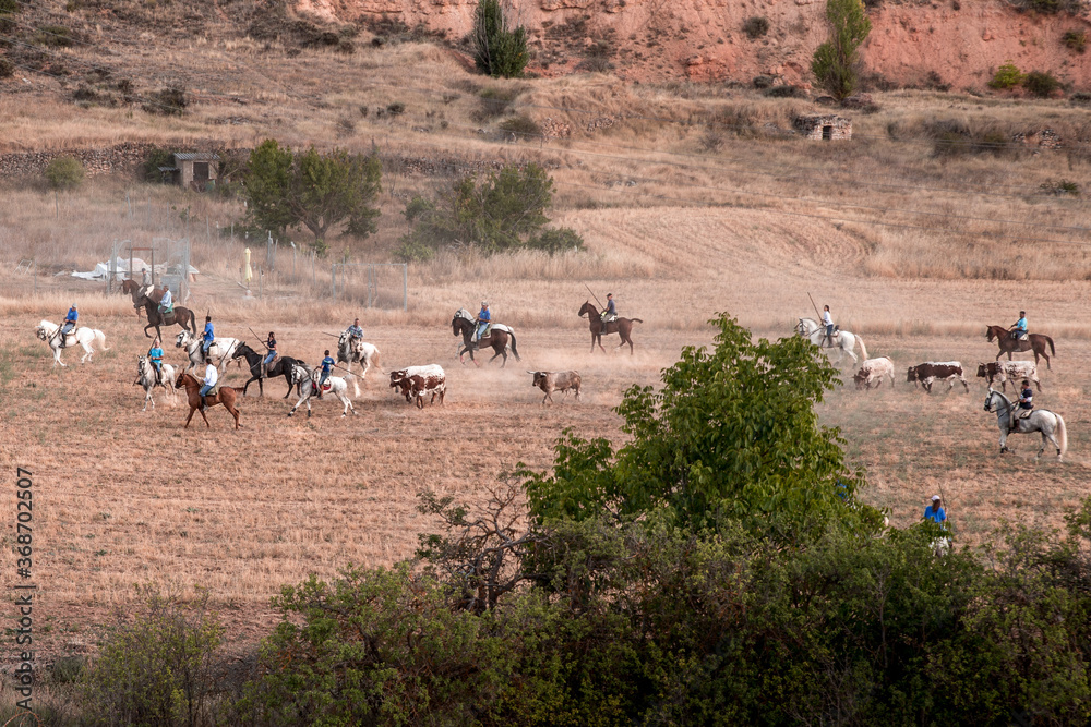 Obraz premium Encierro por el campo