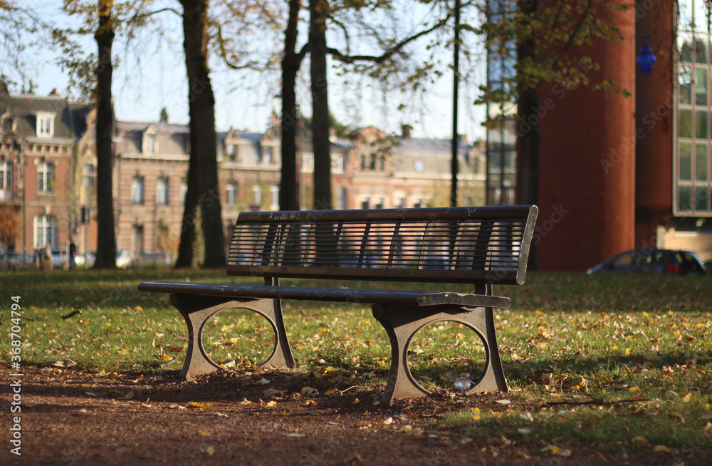 lone bench in the park