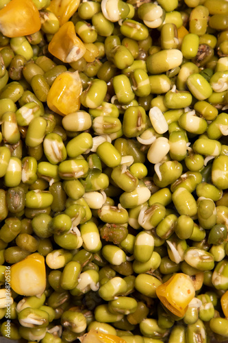 Morning Breakfast of Sprouts and Bread jam Cheese spread served on serving tray macro closeup shot photo