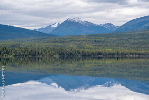 Wilderness woods  forest with lake reflection   snow capped mountains in the summertime. Taken in northern Canada. 