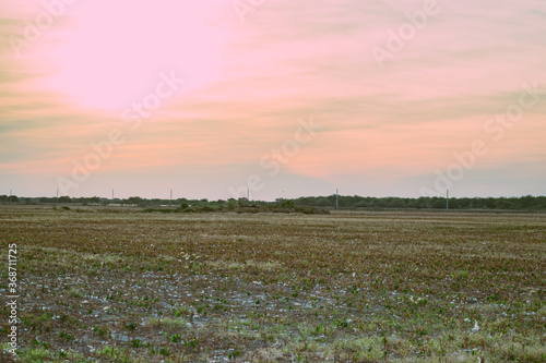 campo desolado con la hierba seca por las heladas