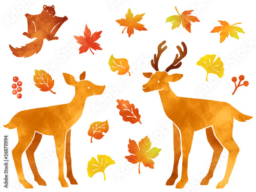 秋の紅葉と鹿とモモンガの水彩風イラストセット Stock Vector Adobe Stock